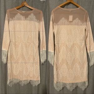 Cream Lace Dress